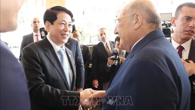 Chủ tịch nước Lương Cường hội kiến Chủ tịch Thượng viện Ai Cập