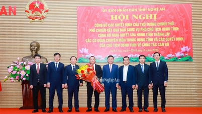 Comrade Pham Hong Quang holds the position of Director of Nghe An Department of Construction