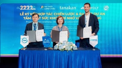 Long Châu cùng Mayoly triển khai chương trình tầm soát sức khỏe trí nhớ