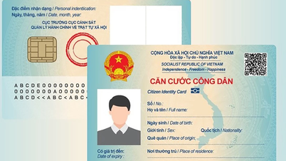 Thay thế mã số bảo hiểm xã hội bằng số định danh cá nhân, căn cước công dân từ 1-8-2025