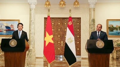 Le président Luong Cuong et le président égyptien Abdel Fattah Al Sisi rencontrent la presse
