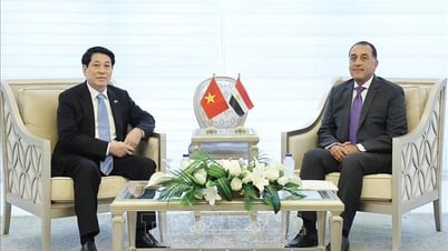 Ils ont convenu de promouvoir la coopération économique entre le Vietnam et l'Égypte dans une direction durable et mutuellement bénéfique.