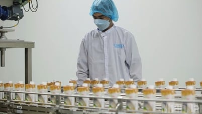 Thế mạnh chế biến nông sản ở Đồng Tháp