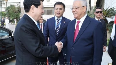 Chủ tịch nước Lương Cường hội kiến Chủ tịch Hạ viện Ai Cập