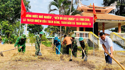 Sư đoàn 5: Ra sức thi đua, hướng về Đại hội Đại biểu Đảng bộ Quân khu 7 lần thứ XI