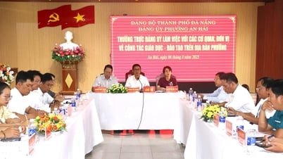 Phường An Hải bảo đảm cơ sở vật chất, giáo viên cho năm học mới