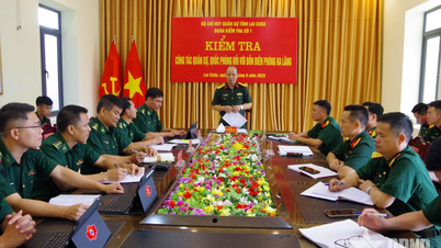 Lai Chau Provincial Military Command inspects and grasps the situation at Border Guard stations in the province.