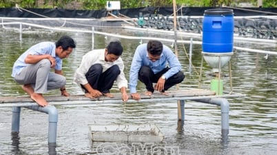 Nguyễn Việt Khái - Phủ xanh đất mặn, phát triển thủy sản bền vững