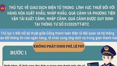 Thí điểm thu, nộp thuế điện tử qua tổ chức cung ứng dịch vụ