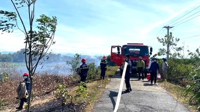 Tập trung phòng cháy, chữa cháy rừng năm 2025