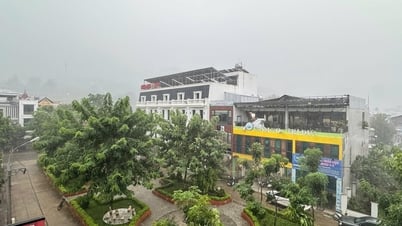 Cảnh báo mưa lũ trên sông Mã