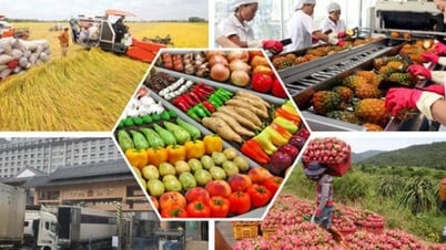 Đơn giản hóa thủ tục hành chính về nông nghiệp và môi trường