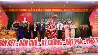 Tập trung phát triển kinh tế - xã hội toàn diện, nhanh và bền vững