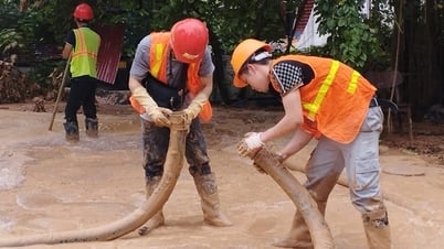 Hà Nội: Khắc phục xong hiện tượng bùn trào lên mặt đất khu vực ngõ Núi Trúc