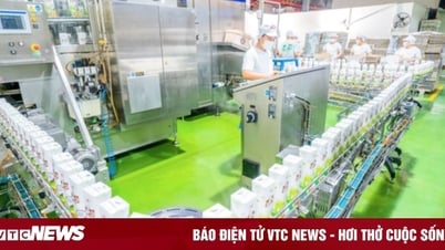 'Vua nha đam' GC Food về tay Tập đoàn Nguyên liệu Á Châu AIG