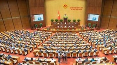 Ủy ban Thường vụ Quốc hội điều chỉnh Chương trình lập pháp năm 2025
