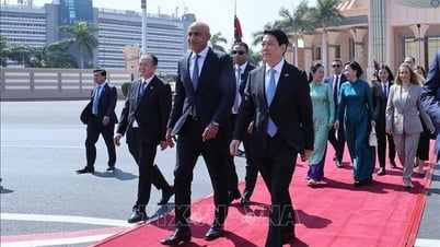 Chủ tịch nước kết thúc chuyến thăm Ai Cập, lên đường thăm Angola