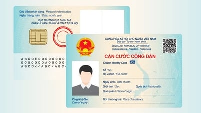 Số định danh cá nhân, căn cước công dân thay thế mã số bảo hiểm xã hội