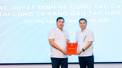 Lễ công bố các quyết định bổ nhiệm về công tác cán bộ tại Công ty Xăng dầu Tây Nam Bộ