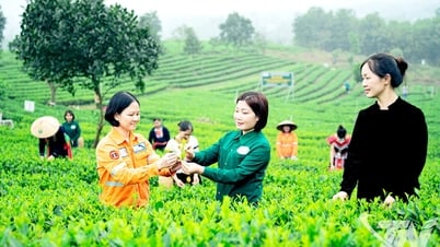 Bộ ba đột phá cho nông sản Thái Nguyên