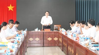 Xem xét chuyển Trung tâm dừa Đồng Gò cho Trường ĐH Trà Vinh quản lý