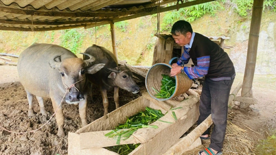 Thành lập Quỹ Hỗ trợ nông dân tỉnh Lào Cai với vốn điều lệ 66,2 tỷ đồng