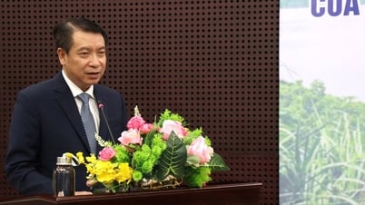 Tái cấu trúc nông nghiệp, bứt phá từ kinh tế xanh và tuần hoàn