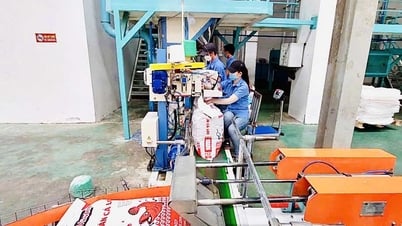Phấn đấu đạt mức cao nhất các mục tiêu, nhiệm vụ năm 2025