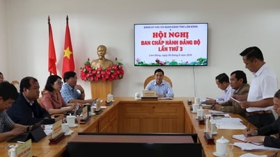 Hội nghị Ban Chấp hành Đảng bộ Các cơ quan Đảng tỉnh Lâm Đồng lần thứ 3