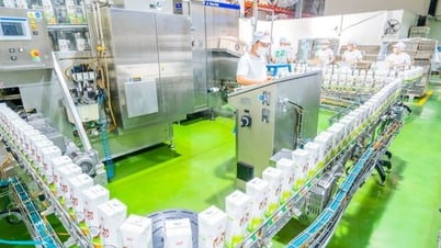 AIG đầu tư chiến lược vào GC Food, thúc đẩy tiềm năng xuất khẩu nông sản Việt