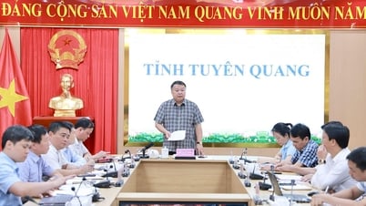 Chủ tịch UBND tỉnh Phan Huy Ngọc nghe báo công tác giải phóng mặt bằng và tiến độ thi công Cao tốc Tuyên Quang – Hà Giang