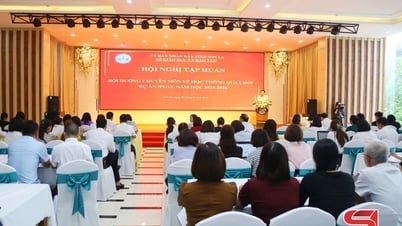 Tập huấn “Học thông qua chơi” cho gần 500 giáo viên tiểu học