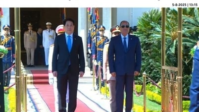 Báo chí Ai Cập đưa tin về chuyến thăm của Chủ tịch nước Lương Cường