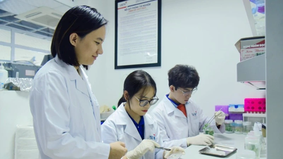 Xây dựng nhân lực ngành công nghệ mũi nhọn