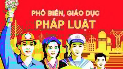 Thành phần và nhiệm vụ của Hội đồng phối hợp phổ biến, giáo dục pháp luật