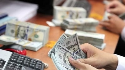 Ngày 6-8: Tỷ giá VND/USD tăng trở lại