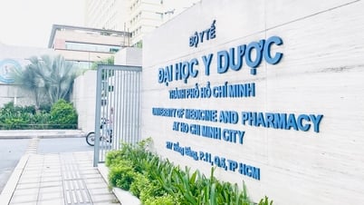 Điểm chuẩn Trường ĐH Y dược TP.HCM có độ lệch giữa các tổ hợp xét tuyển?