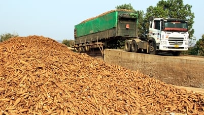 Tạo môi trường thuận lợi cho doanh nghiệp