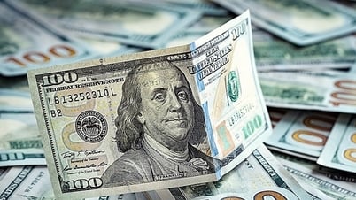 Tỷ giá USD hôm nay (6-8): Đồng USD giữ đà phục hồi