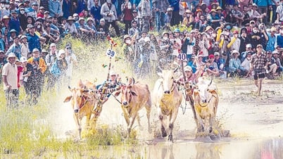 Bảo tồn văn hóa Khmer, Chăm