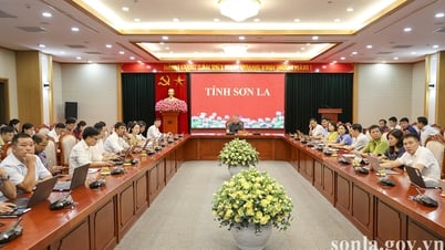 Tập huấn phổ biến quy định pháp luật phân quyền, phân cấp, phân định thẩm quyền trong lĩnh vực nông nghiệp và môi trường