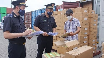 Quy định mới về hoạt động kiểm tra chuyên ngành