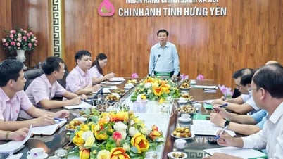 Đánh giá hoạt động tín dụng chính sách 7 tháng năm 2025