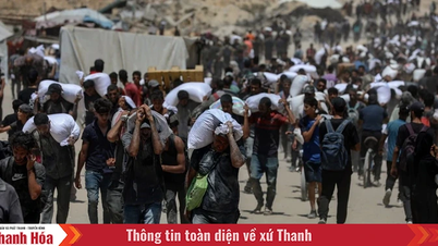 Hội đồng Bảo an Liên hợp quốc nhóm họp về xung đột Israel-Palestine