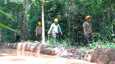 Ban Quản lý rừng phòng hộ Tân Phú: Vượt khó giữ rừng