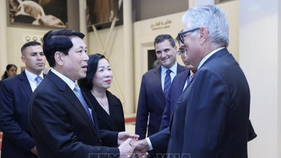 Le président Luong Cuong et son épouse visitent le musée Gamal Abdel Nasser