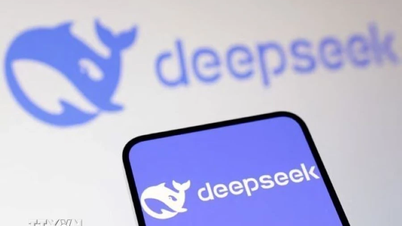 Thượng nghị sỹ Mỹ yêu cầu điều tra bảo mật dữ liệu liên quan DeepSeek