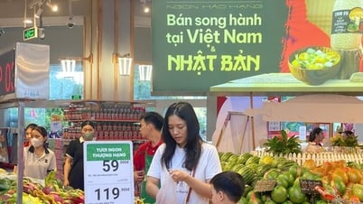 7 tháng năm 2025, bán lẻ hàng hóa và doanh thu dịch vụ tiêu dùng tăng 9,3%