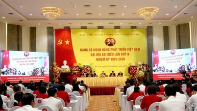 Ngân hàng Phát triển Việt Nam khẳng định vai trò định chế tài chính của Chính phủ