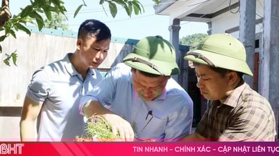 Hà Tĩnh khống chế thành công ổ dịch sốt xuất huyết đầu tiên trong năm 2025